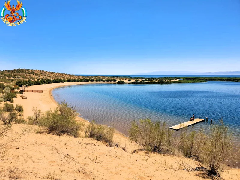 Поездка в пустыню Кызыл Кум и соленное озеро Айдаркуль — фото 4, Самарканд | Покатаем