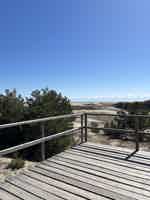 Экскурсия "Путешествие к белым дюнам и синему морю" - фото отзыва 2